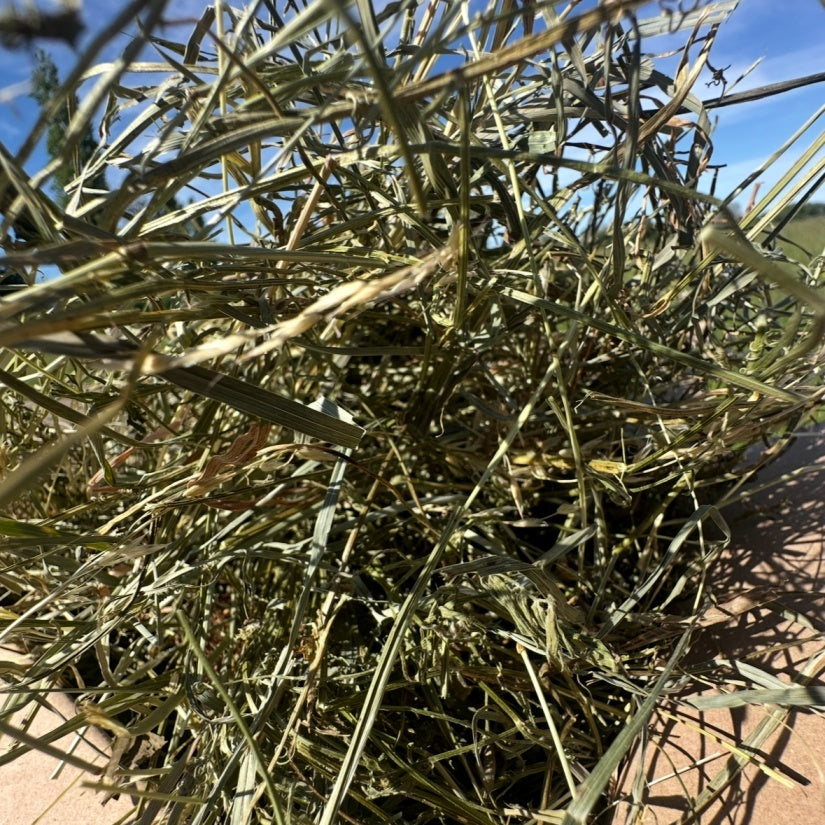 Foin de Crau AOP – Qualité Supérieure, Saveur Naturelle
