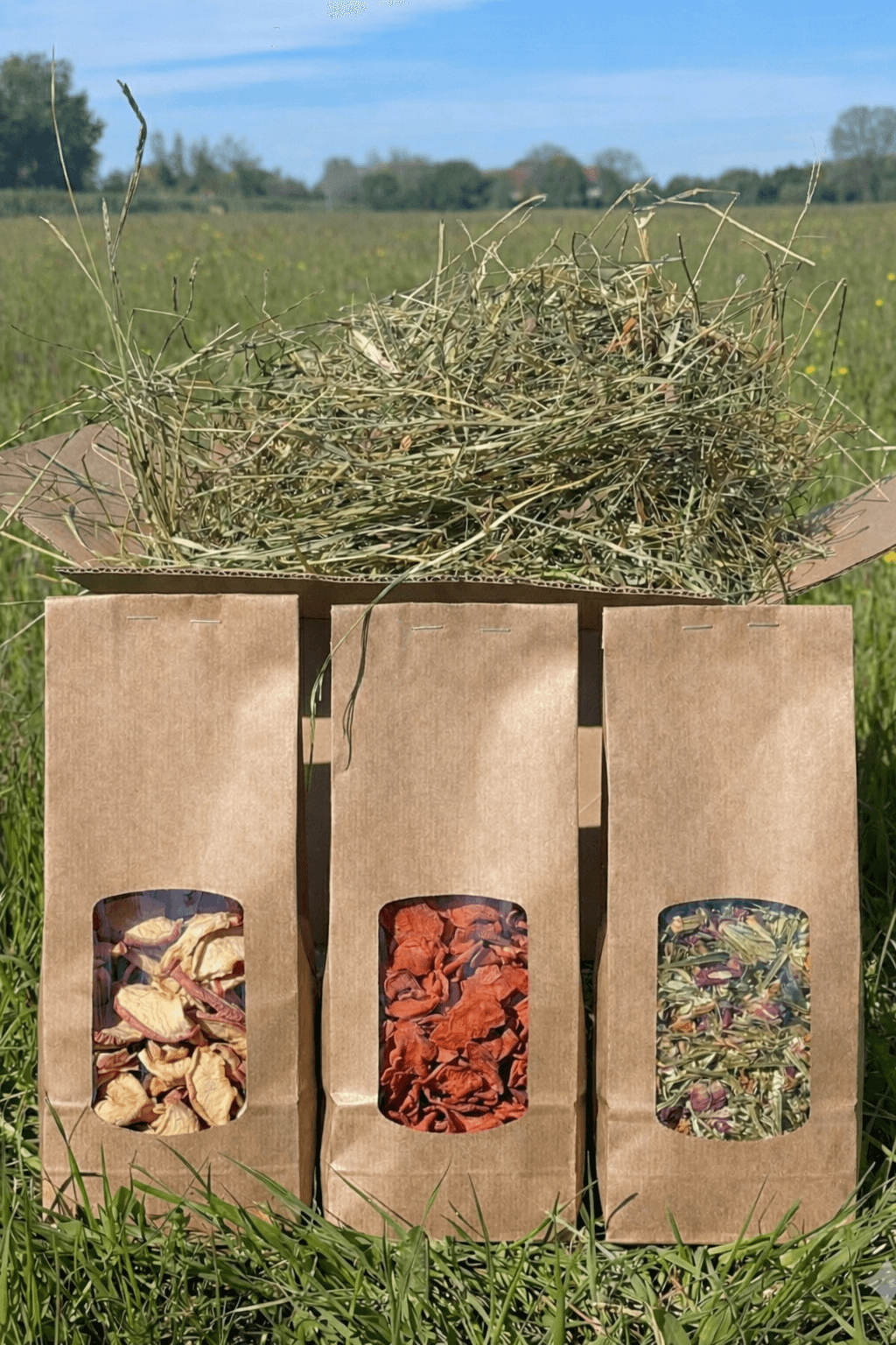 Paille de foin de Crau en vrac et trois sachets kraft de friandises naturelles pour lapins et petits rongeurs sur herbe verte