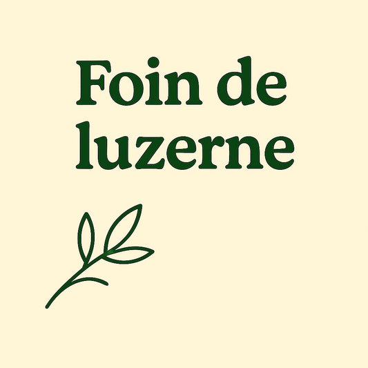 Foin de Luzerne – Le Coup de Boost Naturel