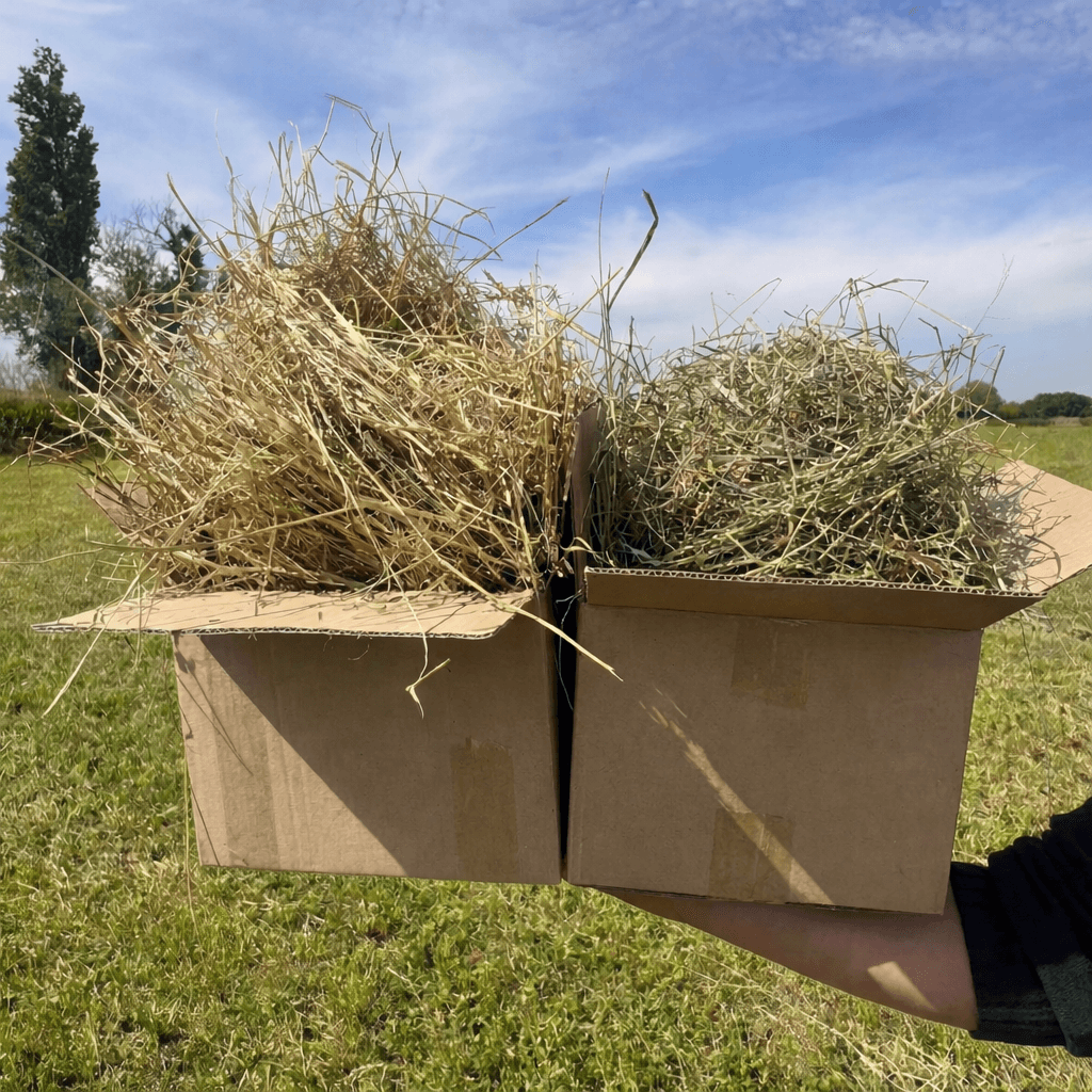 Deux cartons de foin de Crau et foin de prairies tenus à l'extérieur sur un champ vert sous un ciel bleu