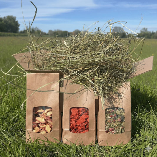 Foin de Crau premium et sachets de friandises naturelles pour petits rongeurs en plein air