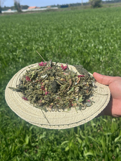 Mélange de foin, fleurs séchées et herbes naturelles dans une main, champ en arrière-plan