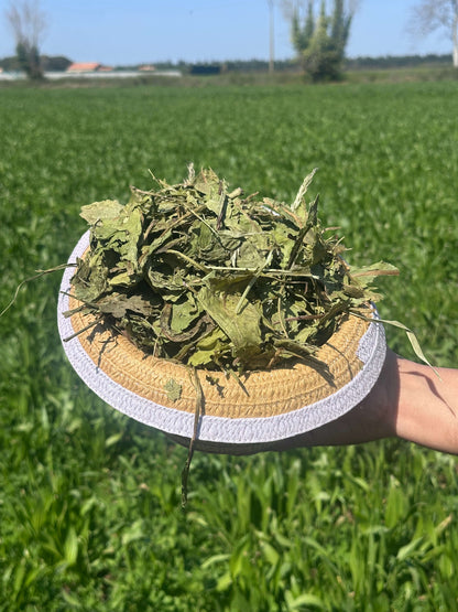 Mélange d’herbes séchées naturelles pour rongeurs, présenté dans une assiette en plein champ