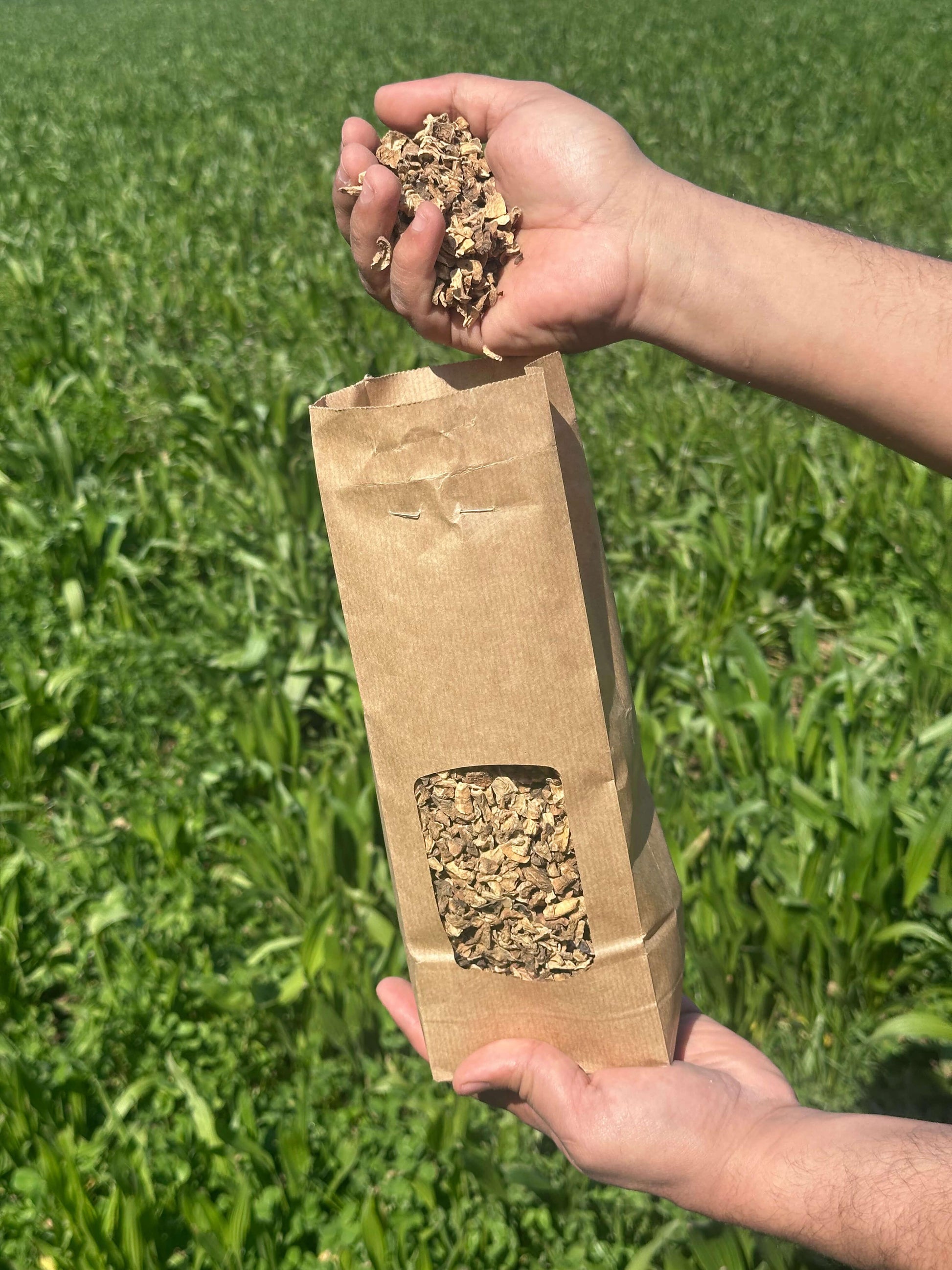 Sachet kraft de friandises naturelles pour rongeurs tenu en main dans un champ vert
