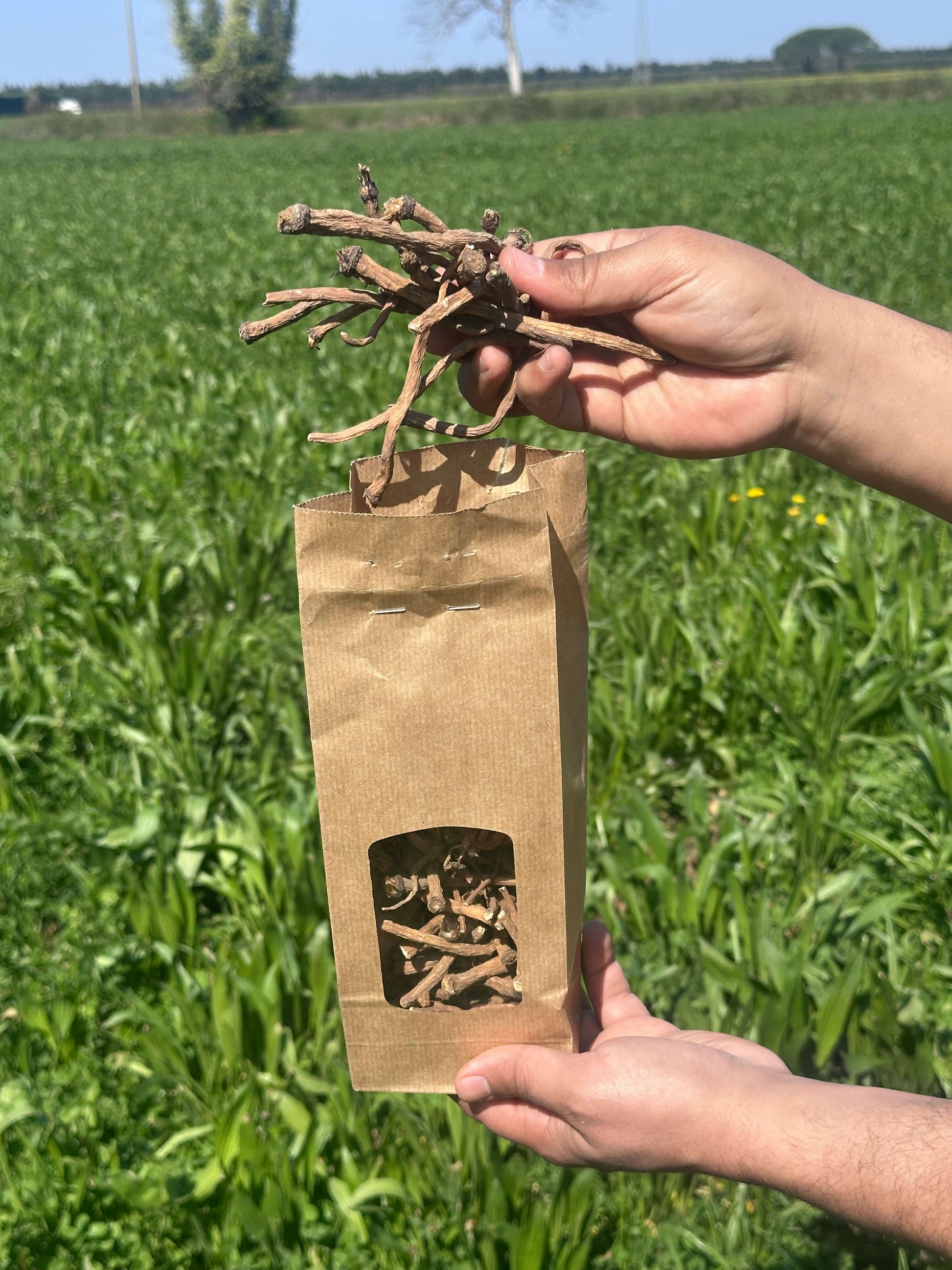 Bâtonnets de racines séchées pour rongeurs, présentés en sachet kraft, à l’extérieur dans un champ de verdure.