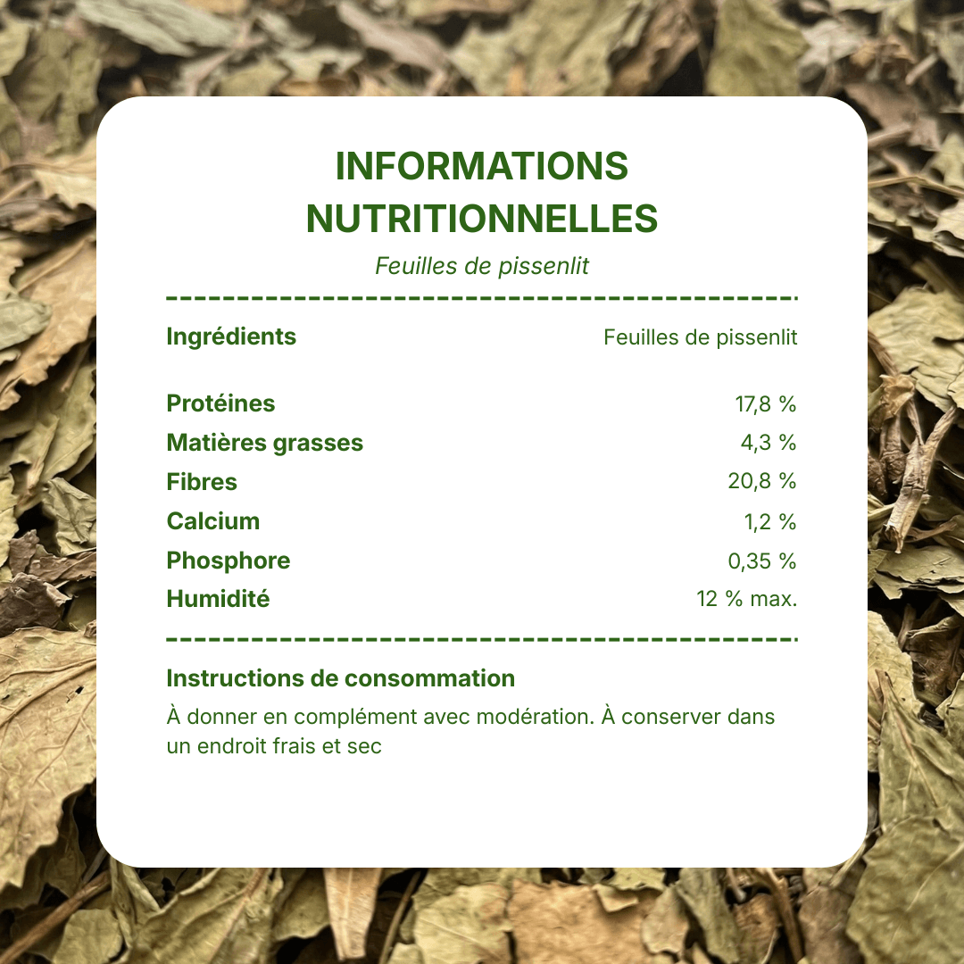 Informations nutritionnelles feuilles de pissenlit