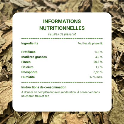 Informations nutritionnelles feuilles de pissenlit