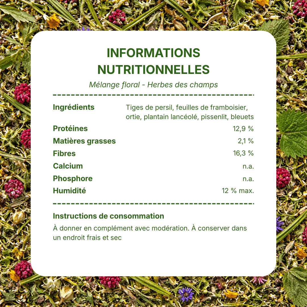 Informations nutritionnelles mélange floral premium pour petits rongeurs avec feuilles de framboisier, ortie, plantain lancéolé, pissenlit, bleuets