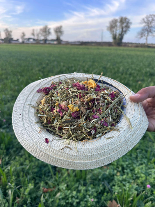 mélange floral de fleurs séchées et herbes dans un chapeau blanc tenu à la main en plein champ