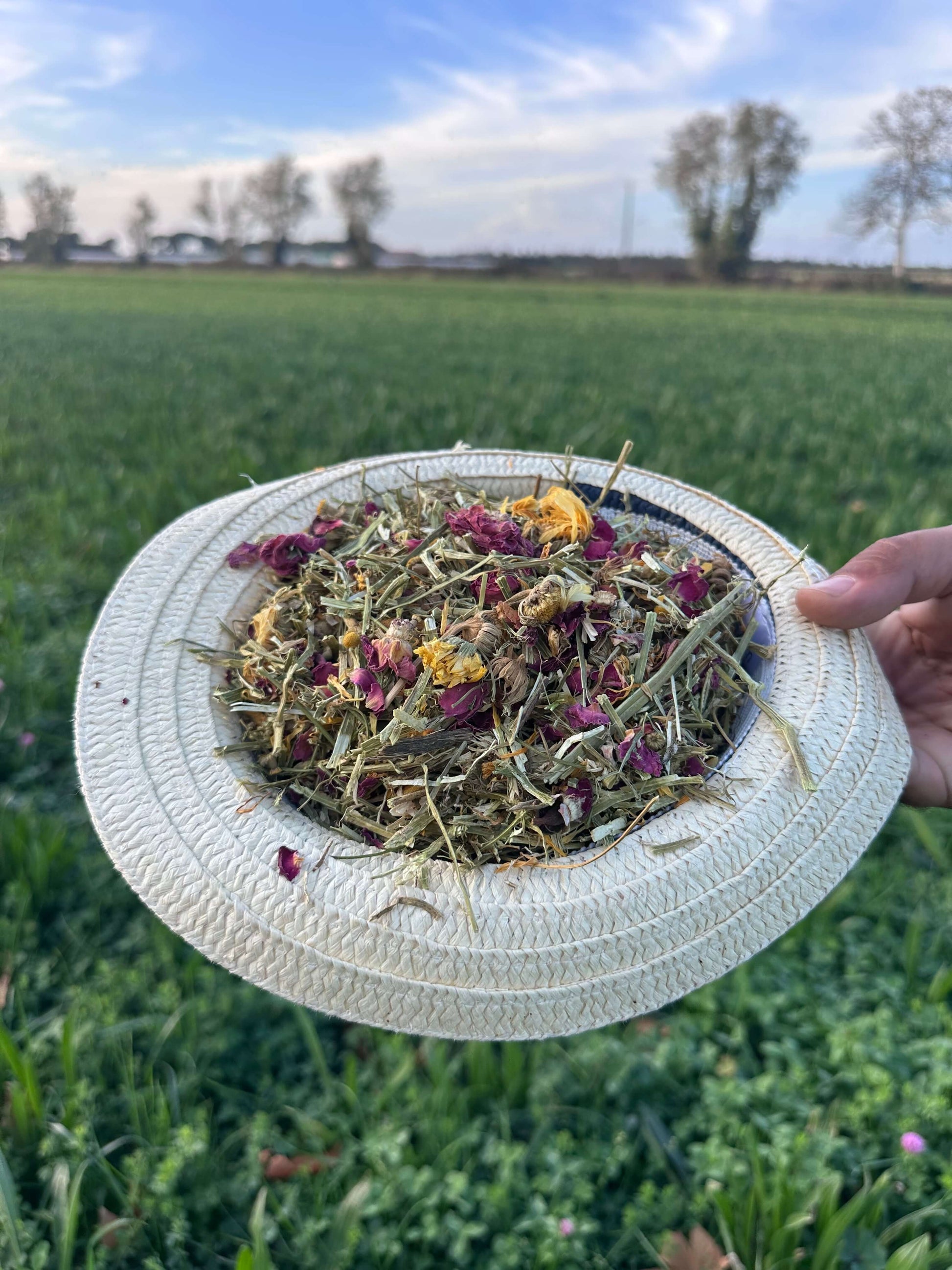 Mélange floral premium fleurs et herbes