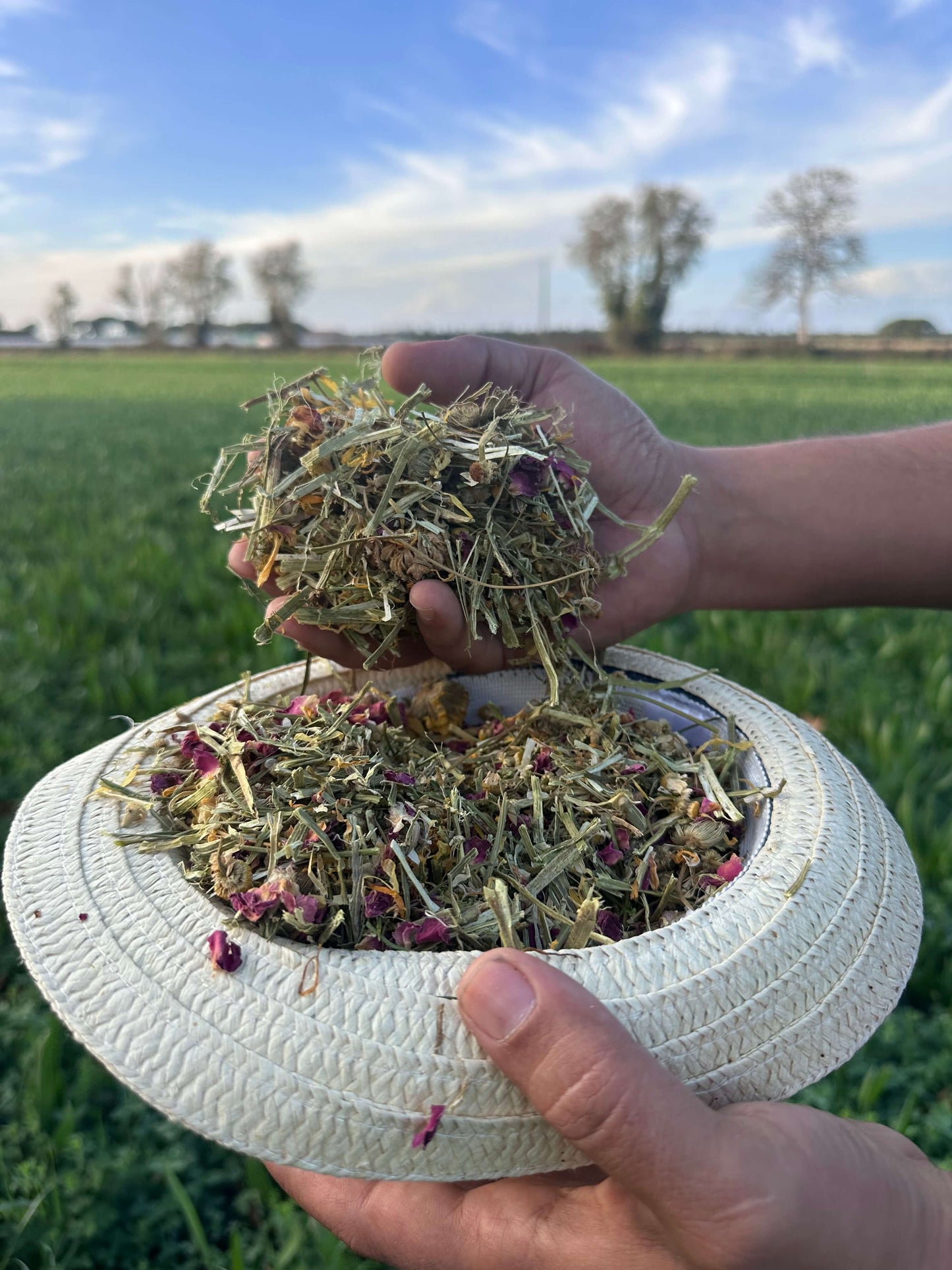 Mélange floral premium fleurs et herbes dans la main