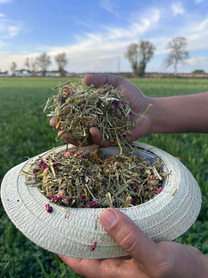 Mélange floral premium fleurs et herbes dans la main