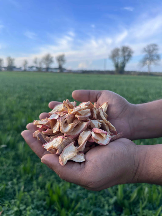 Chips de pommes séchées dans la main