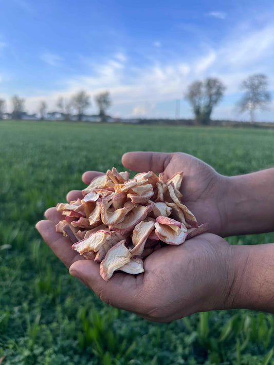 Mains tenant des chips de pommes séchées naturelles pour lapins et petits rongeurs, champ verdoyant en arrière-plan