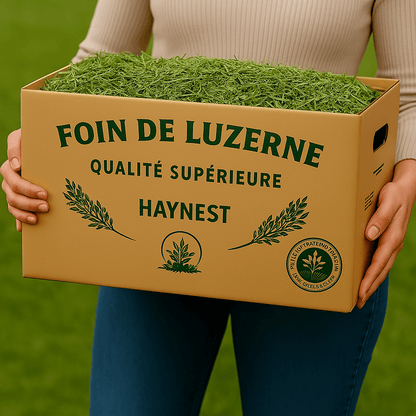 Foin de Luzerne – Le Coup de Boost Naturel