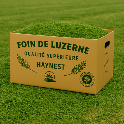 Foin de Luzerne – Le Coup de Boost Naturel