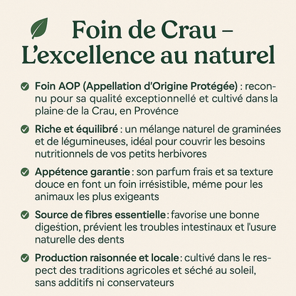Foin de Crau AOP – Qualité Supérieure, Saveur Naturelle