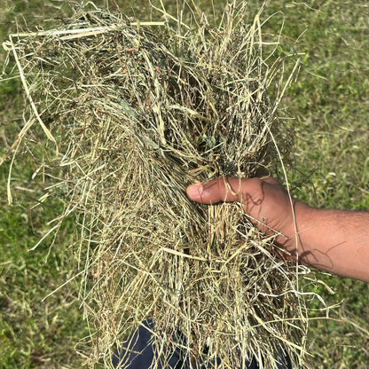 Foin de prairie
