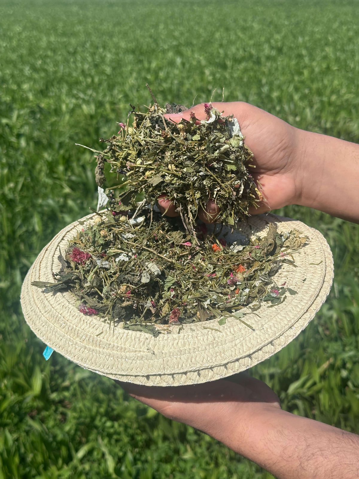 Mix of premium hay, dried flowers and herbs on a hat in a field
